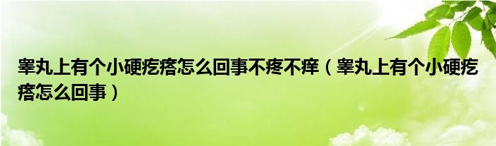 睪丸上有個小硬疙瘩怎么回事不疼不癢（睪丸上有個小硬疙瘩怎么回事）