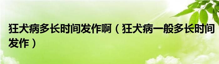 狂犬病多長時間發(fā)作?。袢∫话愣嚅L時間發(fā)作）