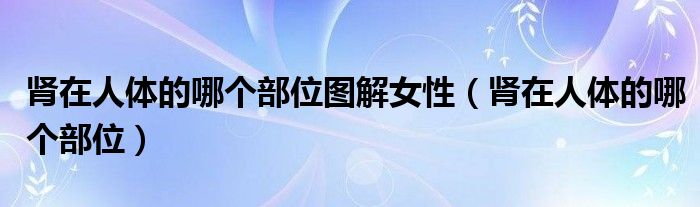 腎在人體的哪個(gè)部位圖解女性（腎在人體的哪個(gè)部位）