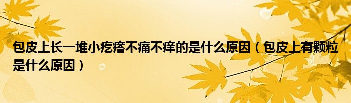 包皮上長(zhǎng)一堆小疙瘩不痛不癢的是什么原因（包皮上有顆粒是什么原因）