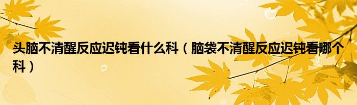 頭腦不清醒反應(yīng)遲鈍看什么科（腦袋不清醒反應(yīng)遲鈍看哪個(gè)科）