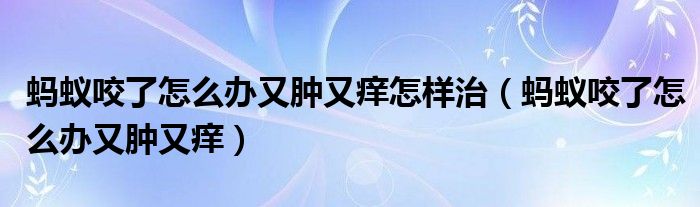 螞蟻咬了怎么辦又腫又癢怎樣治（螞蟻咬了怎么辦又腫又癢）