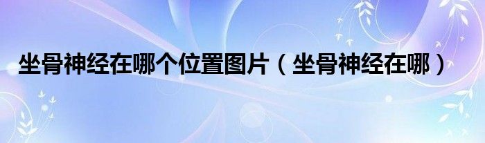 坐骨神經(jīng)在哪個(gè)位置圖片（坐骨神經(jīng)在哪）