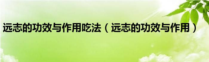 遠(yuǎn)志的功效與作用吃法（遠(yuǎn)志的功效與作用）