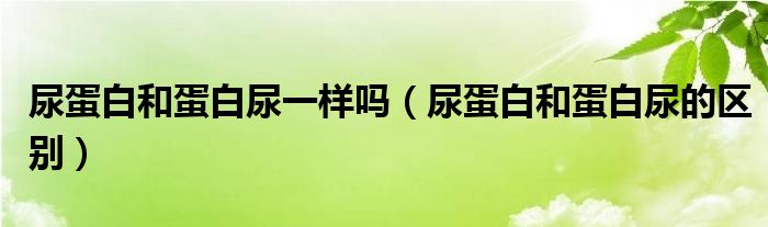 尿蛋白和蛋白尿一樣嗎（尿蛋白和蛋白尿的區(qū)別）