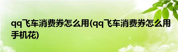 qq飛車消費券怎么用(qq飛車消費券怎么用手機花)