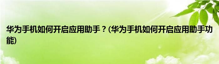 華為手機(jī)如何開(kāi)啟應(yīng)用助手？(華為手機(jī)如何開(kāi)啟應(yīng)用助手功能)