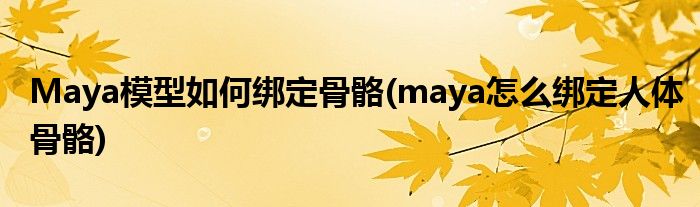 Maya模型如何綁定骨骼(maya怎么綁定人體骨骼)