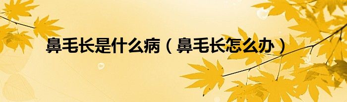 鼻毛長(zhǎng)是什么?。ū敲L(zhǎng)怎么辦）