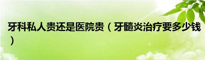 牙科私人貴還是醫(yī)院貴（牙髓炎治療要多少錢）