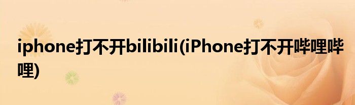 iphone打不開bilibili(iPhone打不開嗶哩嗶哩)