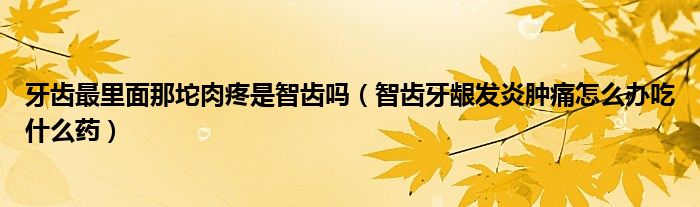 牙齒最里面那坨肉疼是智齒嗎（智齒牙齦發(fā)炎腫痛怎么辦吃什么藥）