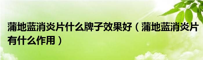 蒲地藍(lán)消炎片什么牌子效果好（蒲地藍(lán)消炎片有什么作用）