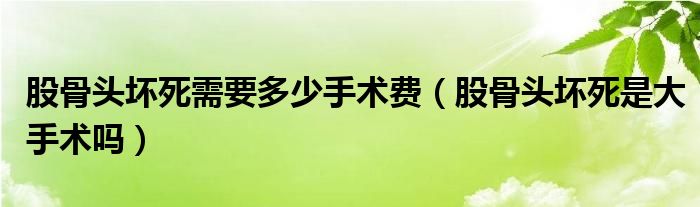 股骨頭壞死需要多少手術(shù)費(fèi)（股骨頭壞死是大手術(shù)嗎）