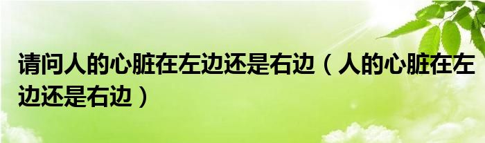 請(qǐng)問人的心臟在左邊還是右邊（人的心臟在左邊還是右邊）