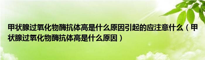 甲狀腺過氧化物酶抗體高是什么原因引起的應(yīng)注意什么（甲狀腺過氧化物酶抗體高是什么原因）