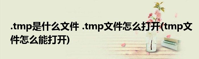 .tmp是什么文件 .tmp文件怎么打開(tmp文件怎么能打開)