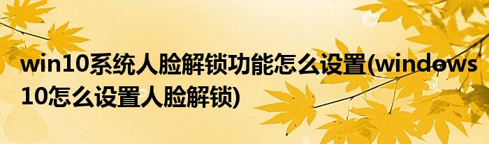 win10系統(tǒng)人臉解鎖功能怎么設(shè)置(windows10怎么設(shè)置人臉解鎖)