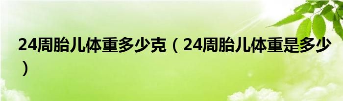 24周胎兒體重多少克（24周胎兒體重是多少）