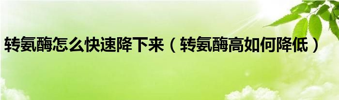 轉(zhuǎn)氨酶怎么快速降下來（轉(zhuǎn)氨酶高如何降低）