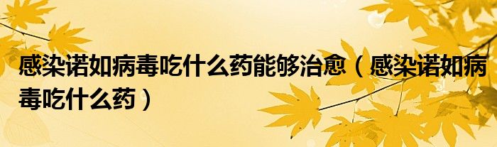 感染諾如病毒吃什么藥能夠治愈（感染諾如病毒吃什么藥）