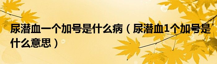 尿潛血一個(gè)加號(hào)是什么?。驖撗?個(gè)加號(hào)是什么意思）