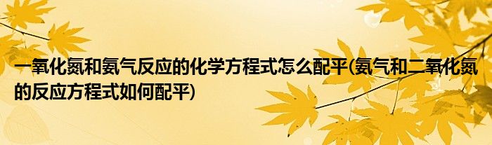 一氧化氮和氨氣反應(yīng)的化學方程式怎么配平(氨氣和二氧化氮的反應(yīng)方程式如何配平)