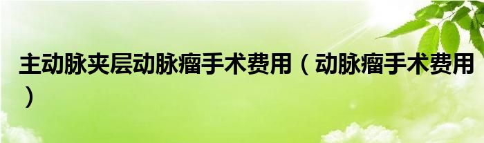 主動脈夾層動脈瘤手術(shù)費(fèi)用（動脈瘤手術(shù)費(fèi)用）