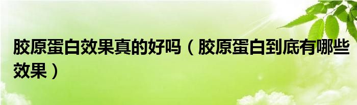 膠原蛋白效果真的好嗎（膠原蛋白到底有哪些效果）