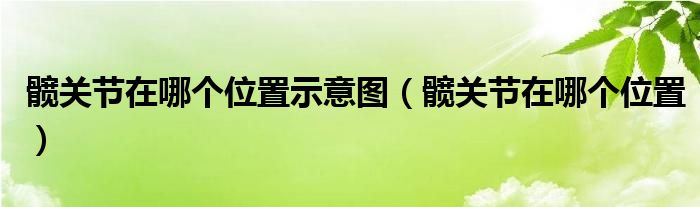 髖關(guān)節(jié)在哪個(gè)位置示意圖（髖關(guān)節(jié)在哪個(gè)位置）