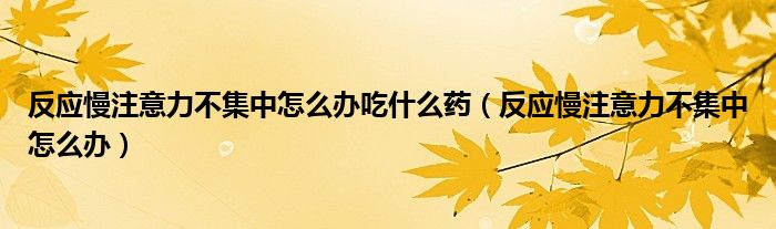 反應(yīng)慢注意力不集中怎么辦吃什么藥（反應(yīng)慢注意力不集中怎么辦）