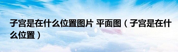 子宮是在什么位置圖片 平面圖（子宮是在什么位置）