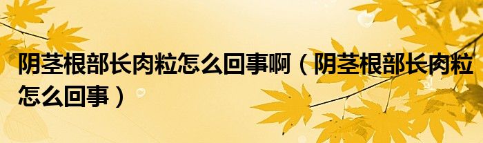 陰莖根部長肉粒怎么回事?。幥o根部長肉粒怎么回事）