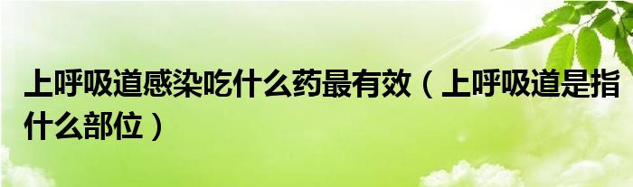 上呼吸道感染吃什么藥最有效（上呼吸道是指什么部位）