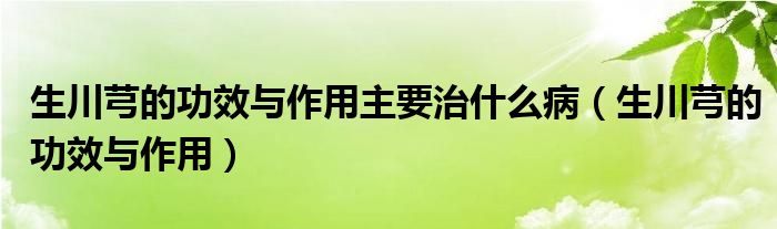 生川芎的功效與作用主要治什么?。ㄉㄜ旱墓πc作用）