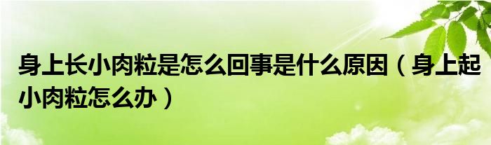 身上長小肉粒是怎么回事是什么原因（身上起小肉粒怎么辦）