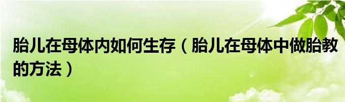 胎兒在母體內(nèi)如何生存（胎兒在母體中做胎教的方法）