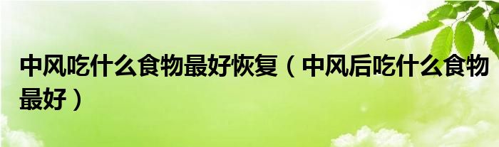 中風(fēng)吃什么食物最好恢復(fù)（中風(fēng)后吃什么食物最好）