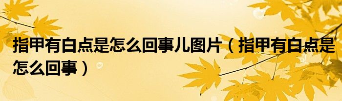 指甲有白點是怎么回事兒圖片（指甲有白點是怎么回事）