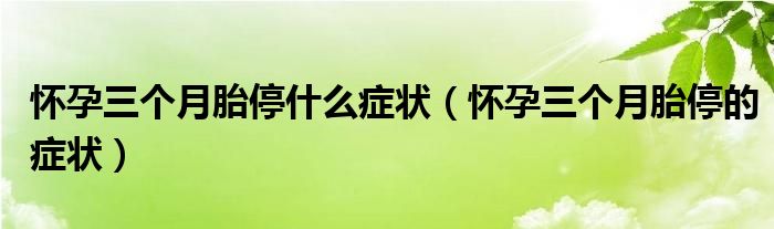 懷孕三個(gè)月胎停什么癥狀（懷孕三個(gè)月胎停的癥狀）