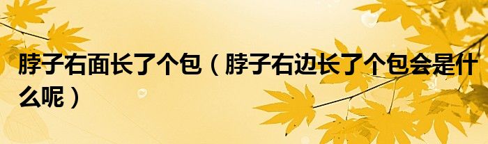 脖子右面長(zhǎng)了個(gè)包（脖子右邊長(zhǎng)了個(gè)包會(huì)是什么呢）