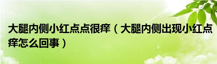 大腿內(nèi)側(cè)小紅點點很癢（大腿內(nèi)側(cè)出現(xiàn)小紅點癢怎么回事）