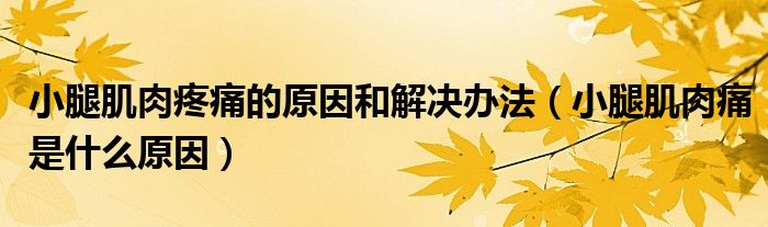 小腿肌肉疼痛的原因和解決辦法（小腿肌肉痛是什么原因）