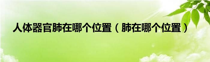 人體器官肺在哪個(gè)位置（肺在哪個(gè)位置）