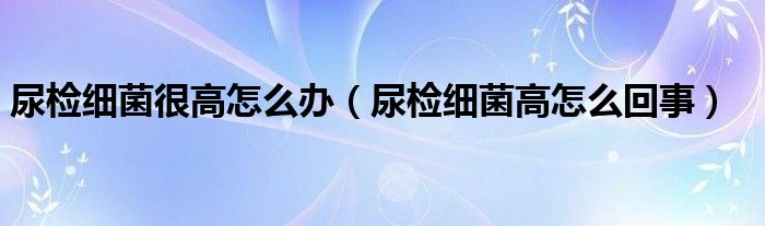 尿檢細(xì)菌很高怎么辦（尿檢細(xì)菌高怎么回事）