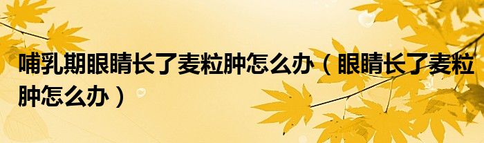 哺乳期眼睛長(zhǎng)了麥粒腫怎么辦（眼睛長(zhǎng)了麥粒腫怎么辦）