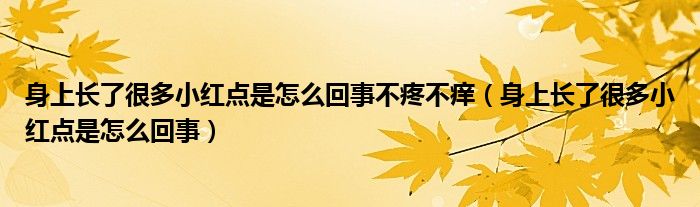 身上長了很多小紅點(diǎn)是怎么回事不疼不癢（身上長了很多小紅點(diǎn)是怎么回事）