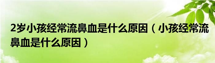 2歲小孩經(jīng)常流鼻血是什么原因（小孩經(jīng)常流鼻血是什么原因）