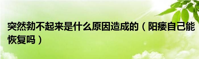 突然勃不起來(lái)是什么原因造成的（陽(yáng)痿自己能恢復(fù)嗎）