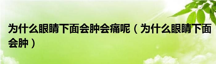 為什么眼睛下面會腫會痛呢（為什么眼睛下面會腫）